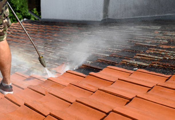 Best Pressure Washing Services Near Me  in Odem, TX