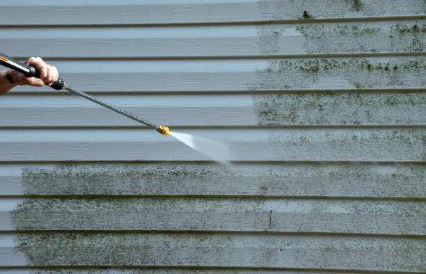Pressure Washing Estimates in Odem, TX