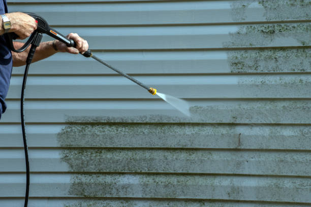 Best Best Pressure Washing Companies  in Odem, TX