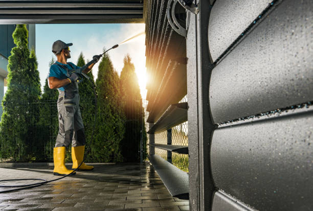 Best Best Pressure Washing Companies  in Odem, TX