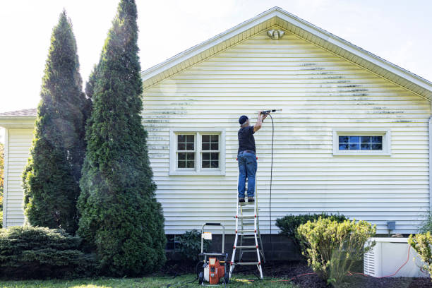 Local Pressure Washing Services in Odem, TX