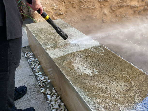 Best Local Pressure Washing Services  in Odem, TX
