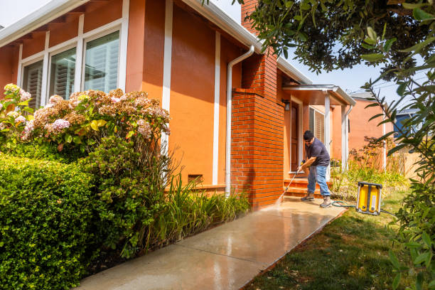 Best Pressure Washing Contractors  in Odem, TX