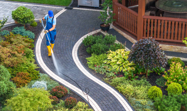 Best Best Pressure Washing Companies  in Odem, TX