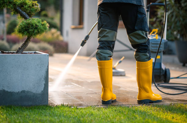 Best Pressure Washing Near Me  in Odem, TX